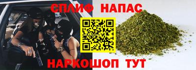 индика Будённовск