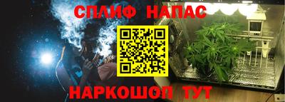 индика Будённовск