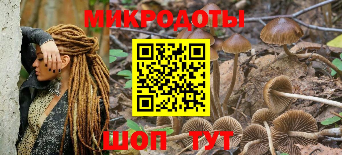 Галлюциногенные грибы GOLDEN TEACHER Аша