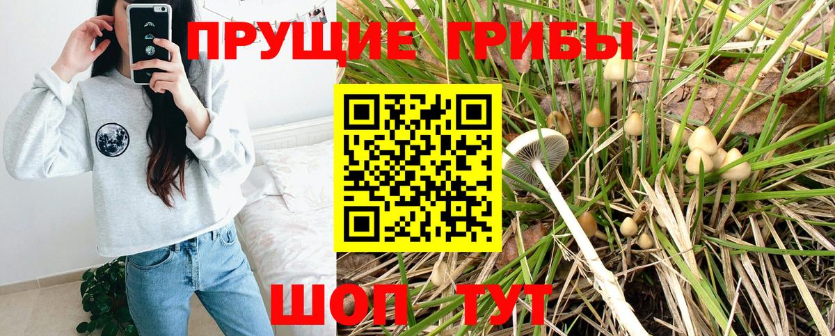 Аша  Псилоцибиновые грибы Magic Shrooms  Вход с VPN 